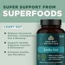 ancient-nutrition-sbo-gut-restore-probio-5.jpg