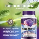 3-pack-synaptic-xr-capsules-synapticxr-s-3.jpg