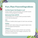 pure-synergy-purenatal-prenatal-vitamins-5.jpg