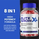 2-pack-elite-grow-xl-gummies-2.jpg