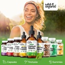 wild-organic-ginkgo-biloba-tincture-brai-5.jpg