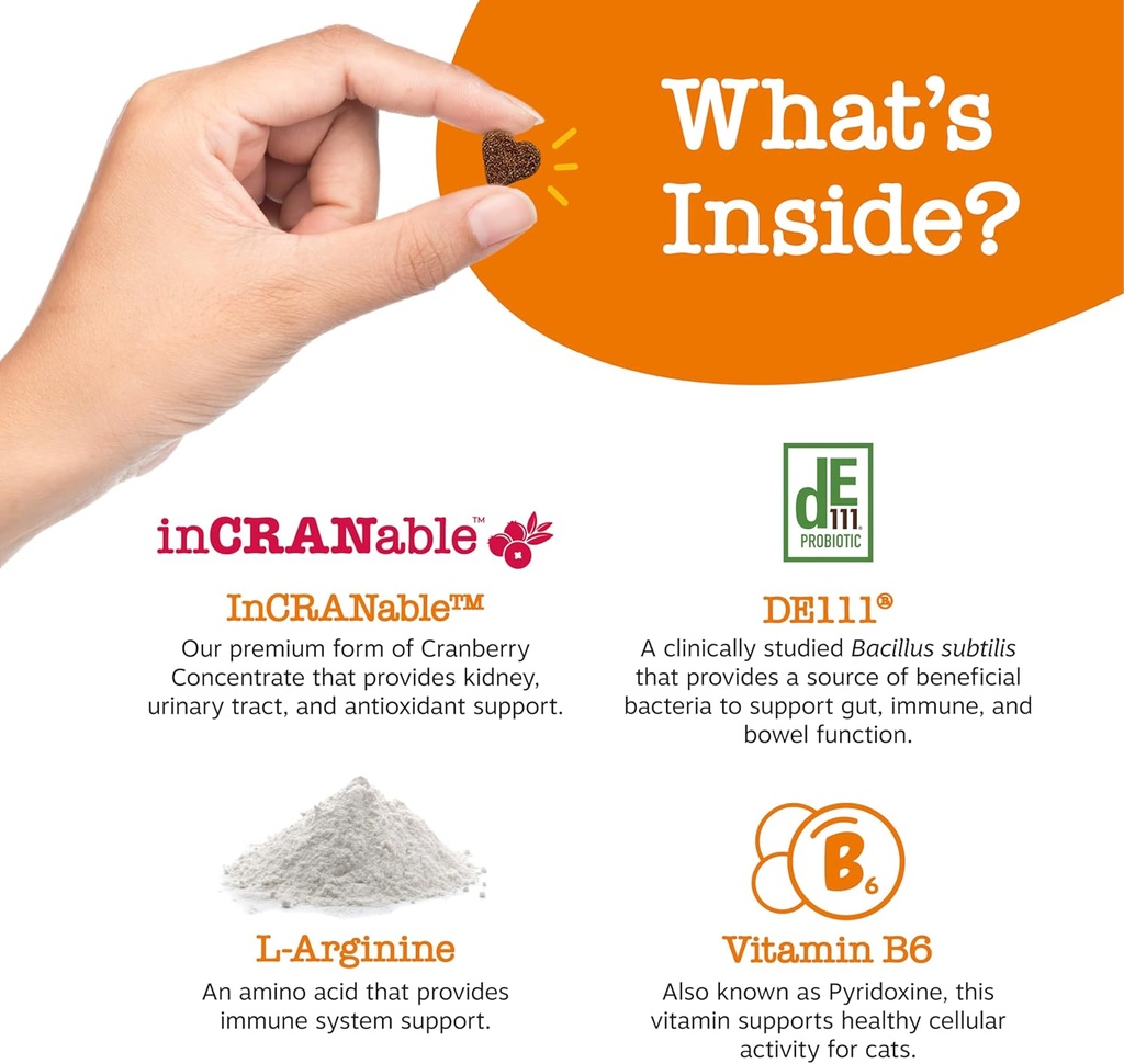zesty-paws-cranberry-urinary-tract-bites-3.jpg