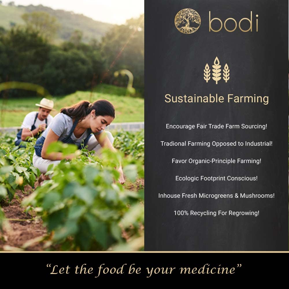 bodi-guarana-seed-powder-4oz-to-5lb-100--5.jpg