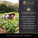 bodi-guarana-seed-powder-4oz-to-5lb-100--5.jpg