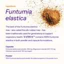 yamoa-funtumia-elastica-capsules-120-cou-4.jpg