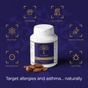 yamoa-funtumia-elastica-capsules-120-cou-3.jpg