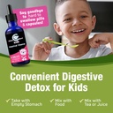 cedar-bear-intestinal-cleanse-for-kids-l-5.jpg