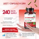 ashwagandha-complex-with-l-theanine-turm-6.jpg