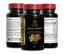 candida-pro-natural-complex-candida-supp-5.jpg