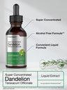 horb-ach-dandelion-root-extract-suppleme-3.jpg