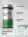 horb-ach-dandelion-root-supplement-120-c-4.jpg