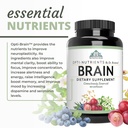 optimal-health-systems-brain-most-compre-5.jpg