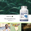 phosphatidylserine-500mg-240-veggie-caps-5.jpg