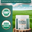 teaveli-organic-barley-grass-juice-powde-5.jpg