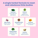 joyspring-herbal-detox-for-kids-cilantro-5.jpg