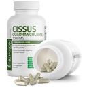 bronson-cissus-quadrangularis-extract-10-5.jpg