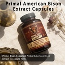 primal-edge-bison-primal-american-bison--2.jpg