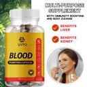 blood-purifying-capsules-gluten-free-gmo-3.jpg