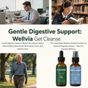 wellvia-gut-cleanse-purity-shield-gut-an-6.jpg