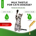 сat-kidney-support-milk-thistle-for-cats-5.jpg