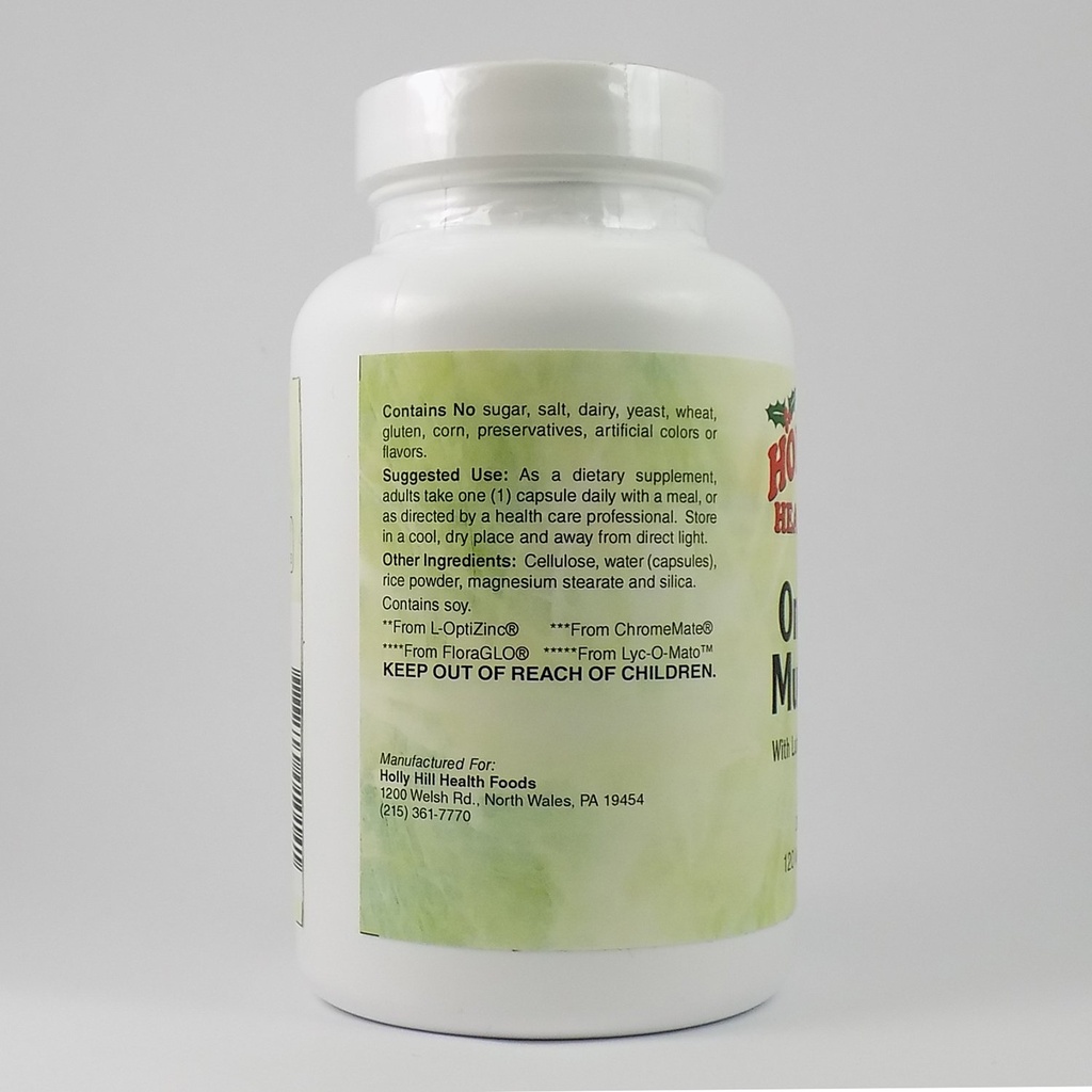 holly-hill-health-foods-one-daily-multi--3.jpg