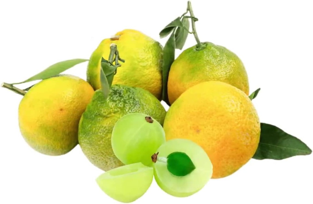 italian-citrus-bergamot-supplement-capsu-4.jpg