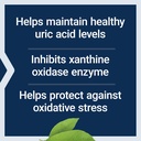 life-extension-uric-acid-control-promote-4.jpg