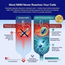 nmn-supplement-500mg-delayed-release-nad-3.jpg