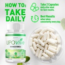 3-pack-lipovive-capsules-official-lipovi-5.jpg