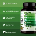 emerald-labs-mediterranean-olive-leaf-50-4.jpg