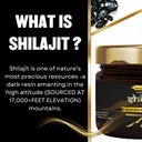 pure-natural-himalayan-shilajit-resin-fo-4.jpg