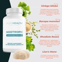 nootropics-brain-memory-and-focus-supple-3.jpg
