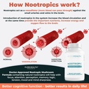 nootropics-brain-memory-and-focus-supple-6.jpg