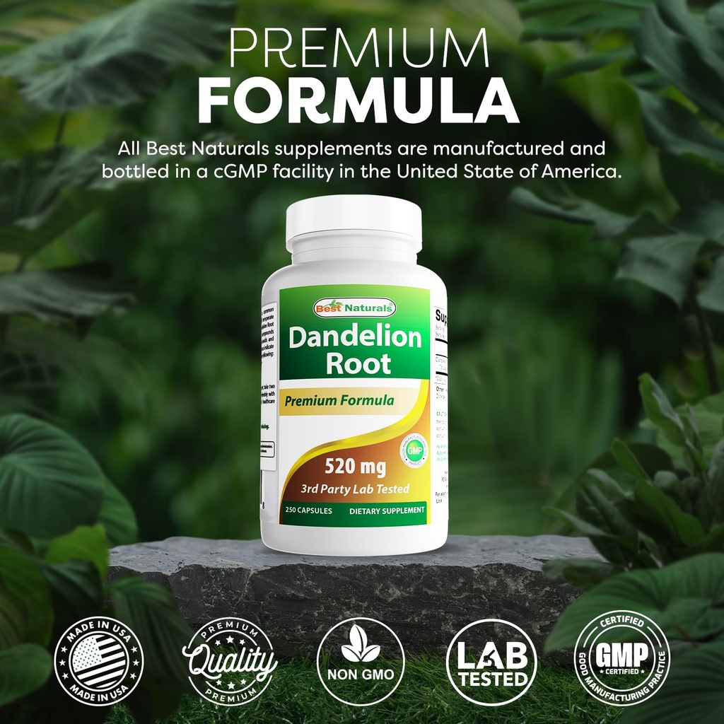 best-naturals-dandelion-root-520-mg-250--5.jpg