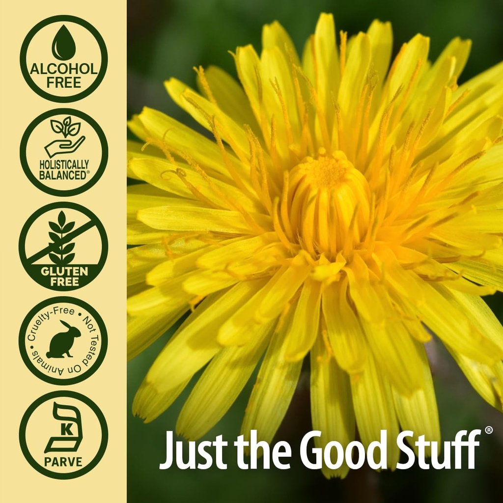 nature-s-answer-alcohol-free-dandelion-r-4.jpg