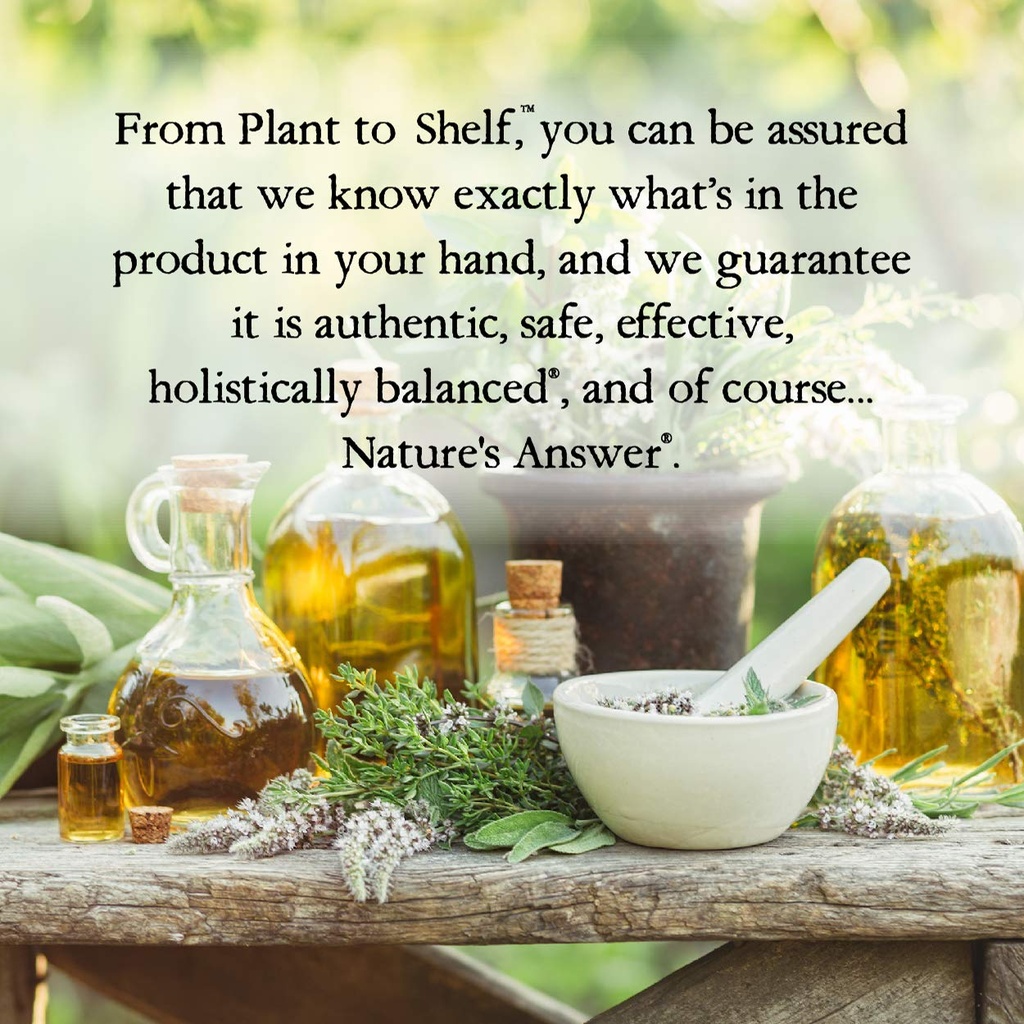 nature-s-answer-burdock-root-herbal-supp-6.jpg