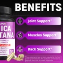 arnica-capsules-with-arnica-grape-seed-t-5.jpg