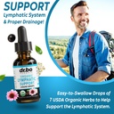 lymphatic-drainage-supplements-drops-wat-4.jpg