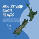 hi-well-premium-new-zealand-green-lipped-3.jpg