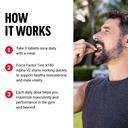 force-factor-test-x180-alpha-v2-t-suppor-3.jpg