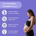 mothers-promise-prenatal-multivitamin-gu-5.jpg