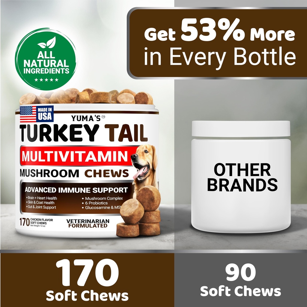 turkey-tail-mushroom-for-dogs-170-count--5.jpg