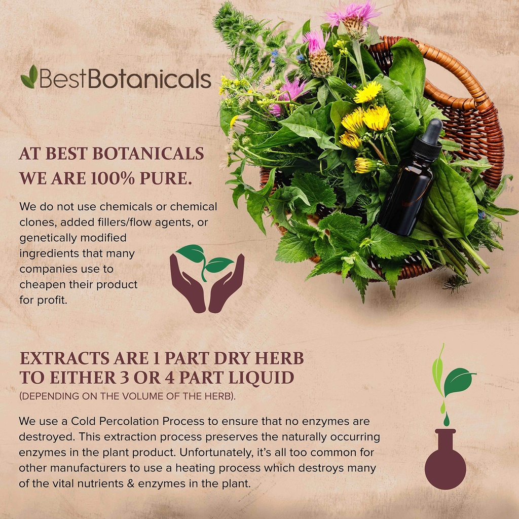 best-botanicals-white-oak-bark-powder-4--5.jpg