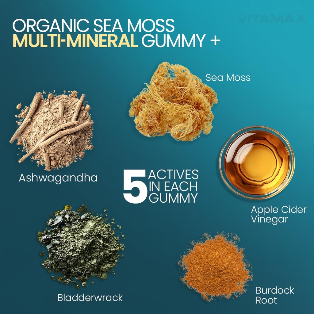 vitamax-irish-sea-moss-gummies-sea-moss--2.jpg