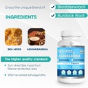 title-sea-moss-ashwagandha-gummies-organ-3.jpg
