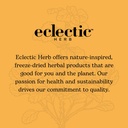 eclectic-institute-propolis-g-orange-2-f-6.jpg