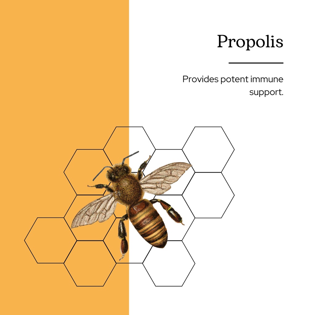 eclectic-institute-propolis-g-orange-2-f-2.jpg