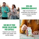 bovine-colostrum-supplement-for-gut-heal-2.jpg