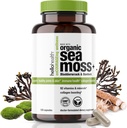 Organik İrlandalı Deniz Moss Capsules: Wildcrafted Sea Moss, Burdock Root & Bladderwrack Prebiyotik Super Food for Immune Support, Yourroid Support, Natural Energy, -120 Caps