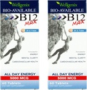 Wellgenix Bio-διαθέσιμη Υπογλώσσια B12 Max - Formated for High Absorption - Διατροφική Πολυβιταμίνη B12, B6, Folate - Γρήγορη Διάλυση (60 Ct) 2 Συσκευασία